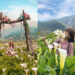 2026海芋季3/13開跑！享受山谷間的花田好浪漫 台北陽明山海芋季4大必拍打卡點