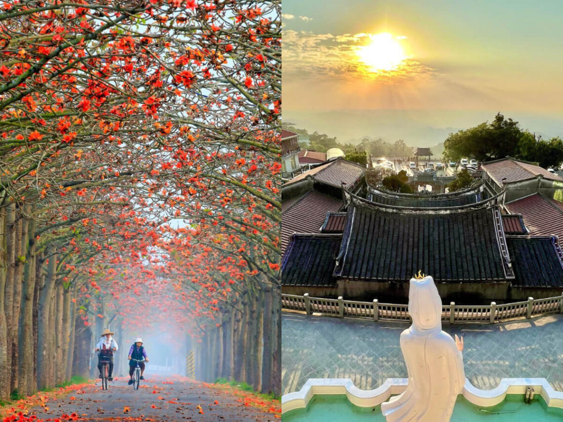 台南一日遊｜浪漫木棉花、百年的傳說奇景 靜待旅人來訪的蓮鄉白河
