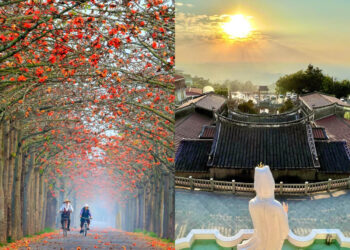 台南一日遊｜浪漫木棉花、百年的傳說奇景 靜待旅人來訪的蓮鄉白河
