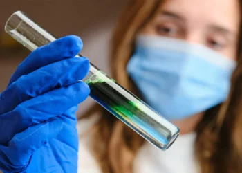 從名人保養清單到科學研究 微藻成為全球抗老養生新選擇