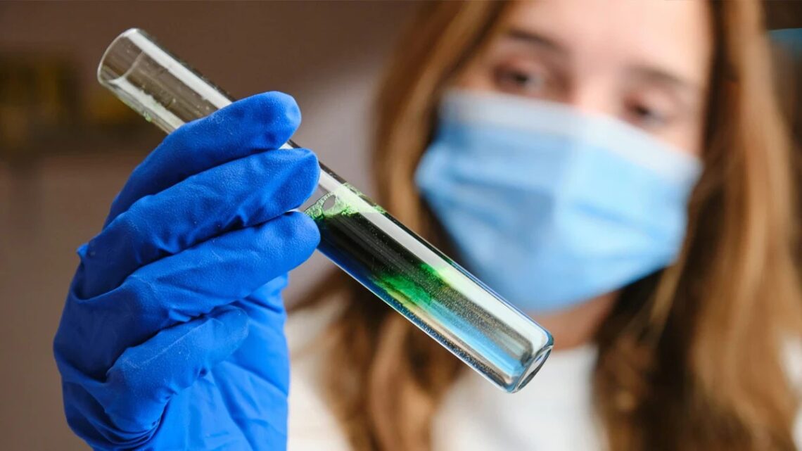 名人保養清單到科學研究 微藻成全球活力養生新選擇