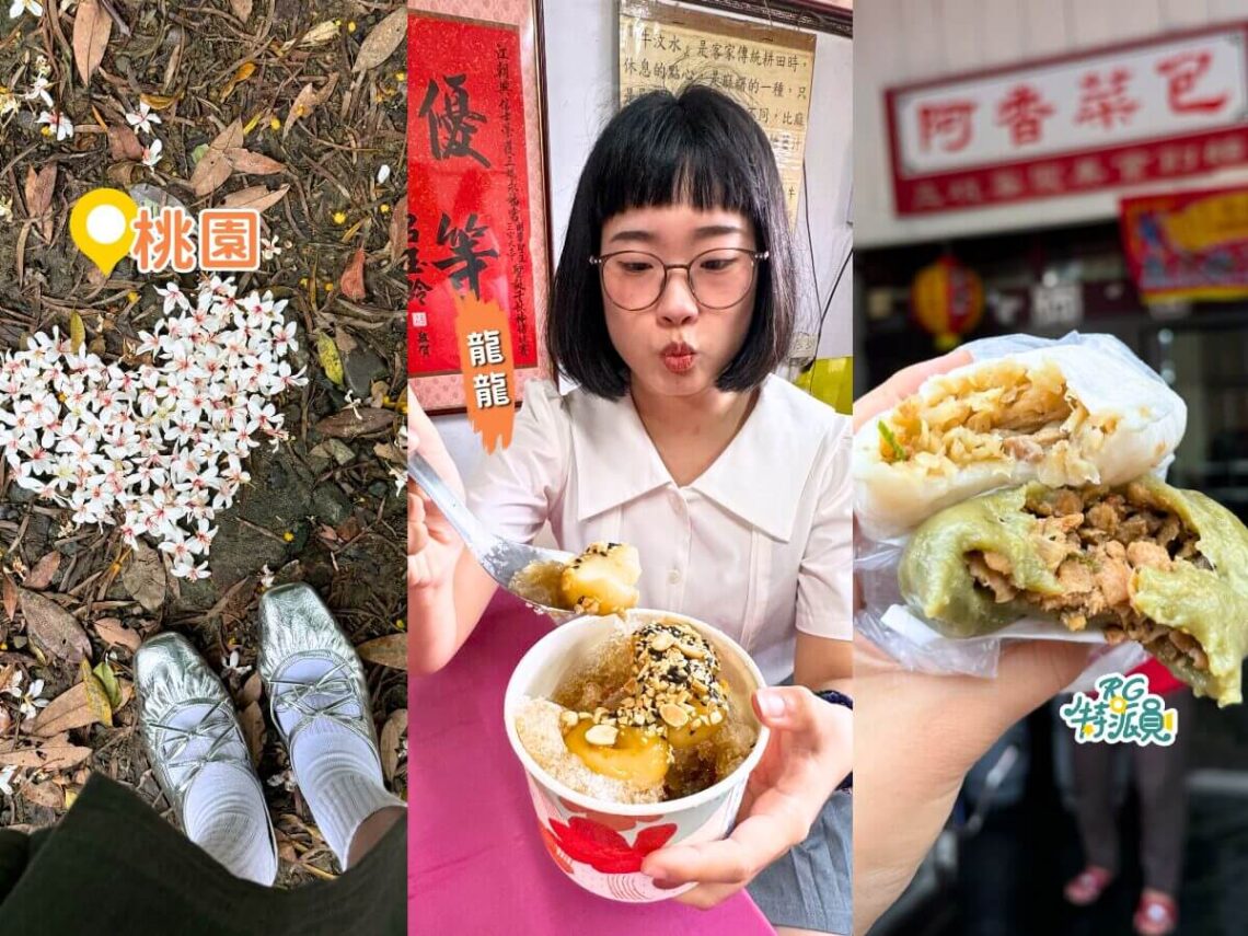 桃園賞桐花一日遊 打卡龍潭限定五月雪 公開被低估客家老街美食 TOP 3
