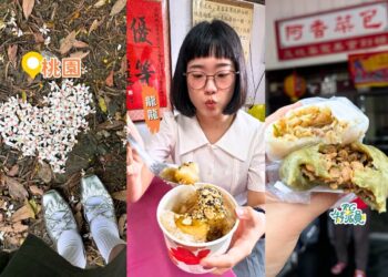 桃園賞桐花一日遊 打卡龍潭限定五月雪 公開被低估客家老街美食 TOP 3