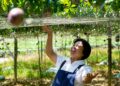 南投公益果園推全台水果宅配 日常團購小農水果也能支持動保