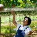 南投公益果園推全台水果宅配 日常團購小農水果也能支持動保