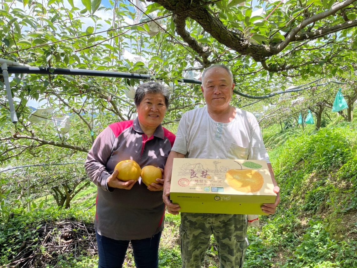 從五星飯店到東勢果園 三代傳承打造甘露梨精品禮盒品牌