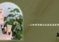 眼周細紋怎麼遮都藏不住 一支精華筆打造熟齡日常保養