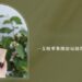 眼周細紋怎麼遮都藏不住 一支精華筆打造熟齡日常保養