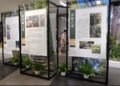 災後重建到山林永續 原民會展出16年土地守護成果