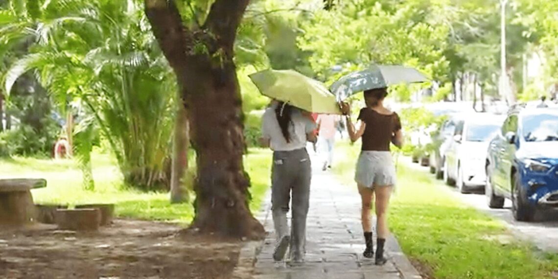 中興大學團隊以數據翻轉都市林管理 打造綠色城市韌性新藍圖