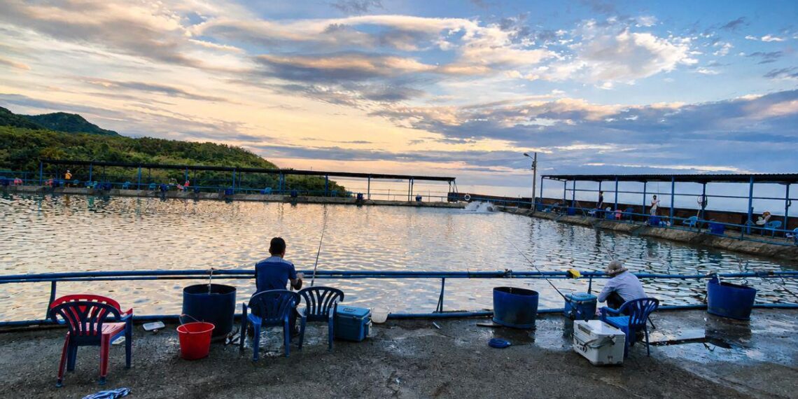 走進新北八里海釣場 考驗釣客看標技巧與搏魚技術  感受純海水池釣大物試煉場
