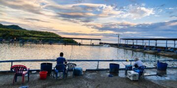 走進新北八里海釣場 考驗釣客看標技巧與搏魚技術  感受純海水池釣大物試煉場
